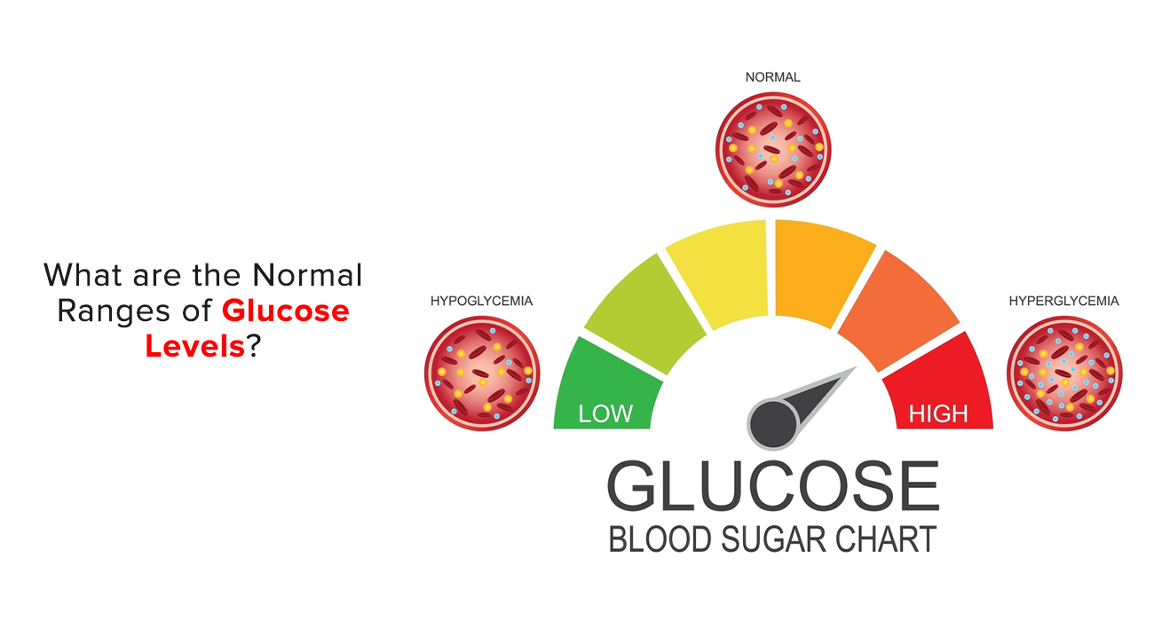 What Are The Normal Ranges of Glucose Levels?